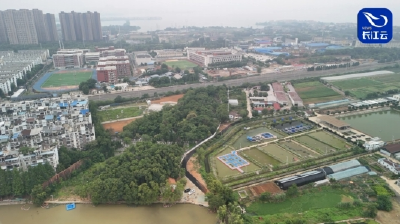 刚下雨时的脏水都去哪里？武汉南湖“新肺”首次经历雨季考验
