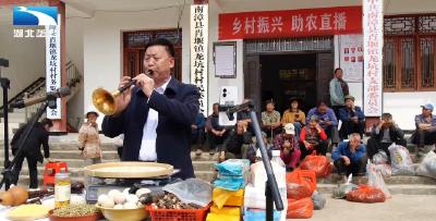襄阳南漳：村书记当“主播” 让“土货”变“俏货”