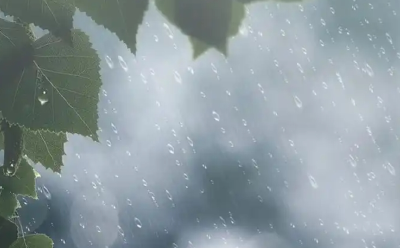 骤降10℃！大雨、暴雨！