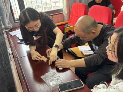 咸宁：赋能教育，共筑心防线——崇阳县中小学心理健康教育班主任培训