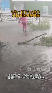 宜昌暴雨中的最美身影！他们徒手清障的样子真帅