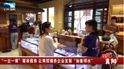 直通襄阳丨“一企一策”精准服务 让商贸服务企业发展“如鱼得水”
