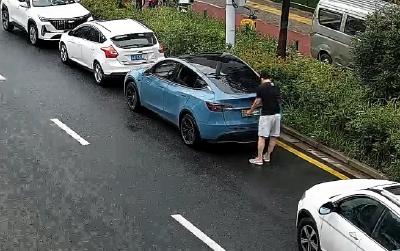 戴口罩、糊纸巾、盖抹布各种“花式”遮挡号牌 交警：故意遮挡机动车号牌，罚款200、记9分！