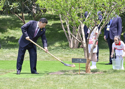学习进行时｜乘风破浪、勇毅前行——习近平主席推动中国同中亚五国友好合作的故事