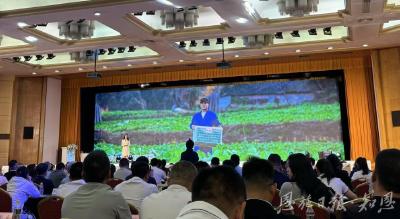 油菜产业综合产值突破10亿元——恩施油菜“初长成”