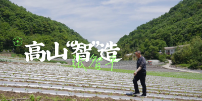 宜昌长阳 | 高山“智”造：张智平