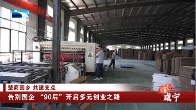咸宁：告别国企 “90后”开启多元创业之路