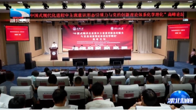 学习宣传贯彻习近平新时代中国特色社会主义思想系列研讨会第三场在汉举行