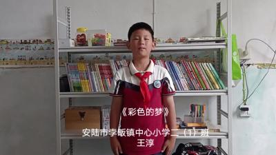孝感市-安陆市孛畈镇中心小学-《彩色的梦》-王淳