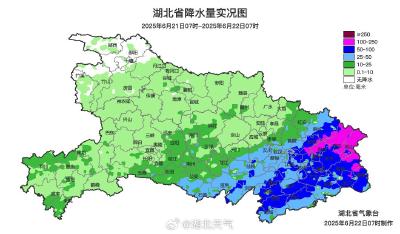 全力防范强降雨，湖北1214名干部群众上堤巡查防守
