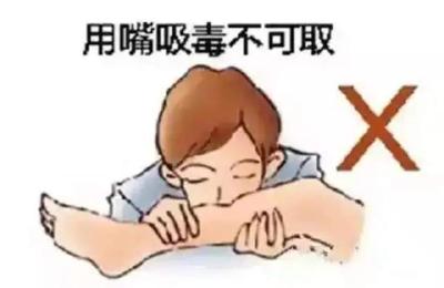 被蛇咬千万别用嘴吸！紧急提醒：这些处理方法很危险→