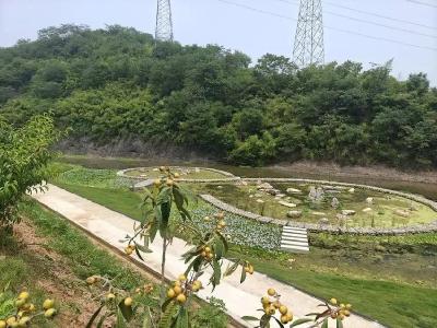 30亩土地零补偿！宜昌23户村民“让地谋发展”书写乡村振兴新答卷