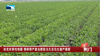 荆门：攻克世界性难题 鄂研鄂产复合肥助力大豆花生增产提质