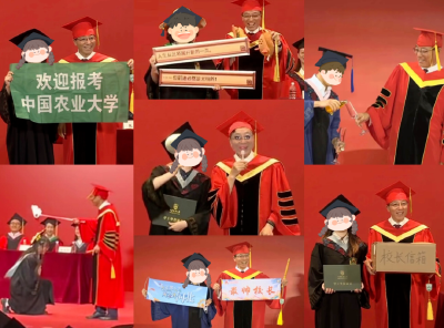 连续拨穗14小时，63岁校长的“笨功夫”何以感动全网？