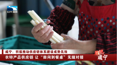 咸宁：农特产品供应链 让“田间到餐桌”无缝对接