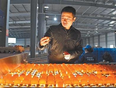 《人民日报》关注湖北：让鲜蛋丰富高原群众“菜篮子”