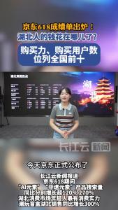 京东618成绩单出炉！湖北人的钱花在哪儿了？