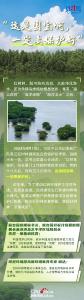 【讲习所·中国与世界】“人不负青山，青山定不负人”