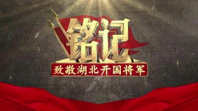 致敬湖北开国将军｜中国航母之父·刘华清