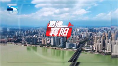 直通襄阳 | 政府部门潜心服务 助力企业高质量发展
