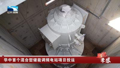 华中首个混合型储能调频电站项目投运