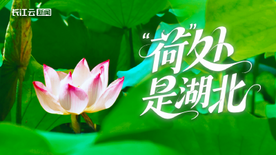“荷”处是湖北