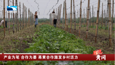 黄冈：产业为笔 合作为墨 甬黄合作激发乡村活力