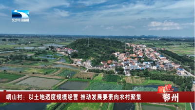 鄂州峒山村：以土地适度规模经营 推动发展要素向农村聚集 
