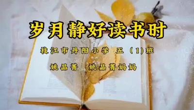 宜昌市-枝江市丹阳小学-《三国演义》-姚晶菁