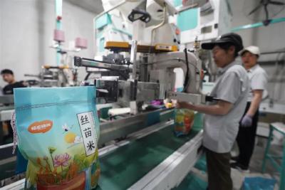 日销万单，跑出新品牌，拼多多“千亿扶持”将湖北大米送上热榜