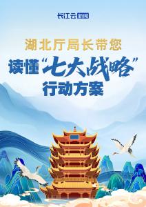 收藏丨“七大战略”行动方案厅局长访谈视频集锦来了！