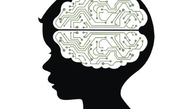 每分钟读6000字，一天看72本书？儿童全脑开发乱象调查