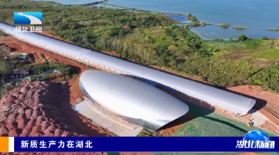 新质生产力在湖北 | 650公里/小时 湖北高速磁悬浮技术达世界领先水平