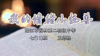 潜江市-园林第二初级中学-我的情绪小怪兽-王悠杨