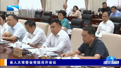 省人大常委会党组召开会议