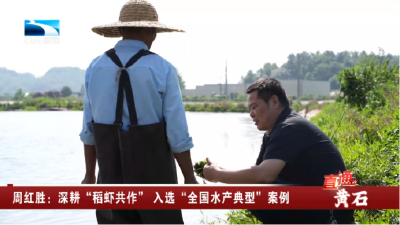 周红胜：深耕“稻虾共作” 入选“全国水产典型”案例