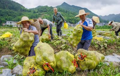 风雨同舟筑“长城”——恩施州干群抗洪救灾全景纪实