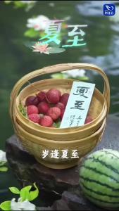 今日夏至，愿万般美好，如约而至