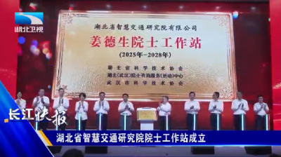 湖北省智慧交通研究院院士工作站成立