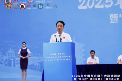 湖北省第十七届龙舟大赛在江夏收官