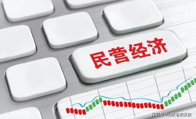 全国实有民营经济组织达1.85亿户