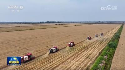 【新思想引领新征程】全方位提升粮食产能 夯实粮食安全根基