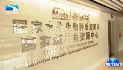 孙伟在武汉调研时强调 为加快农业强省科技强省建设聚智添力