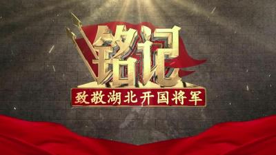 致敬湖北开国将军｜百战骁将·叶建民