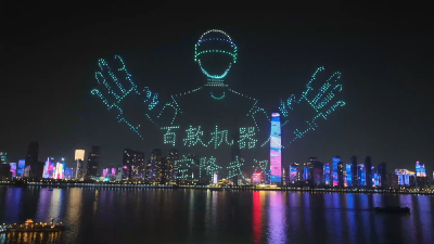 “世界机器人嘉年华”在武汉举行