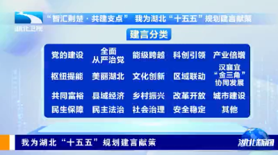 我为湖北“十五五”规划建言献策