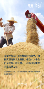 看图学习丨“三夏”时节丰收忙 总书记强调粮食生产年年要抓紧