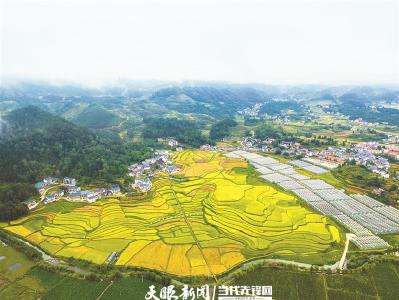 村里喜事多，幸福的歌声响遍高原和大山