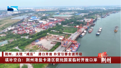填补空白！荆州港盐卡港区获批国家临时开放口岸