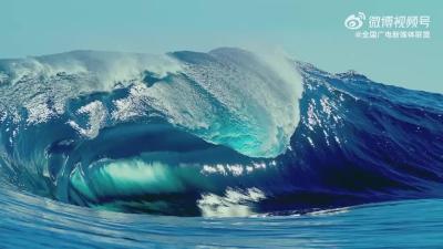 保护海洋生态系统  人与自然和谐共生 | 2025年世界海洋日暨全国海洋宣传日主题宣传片